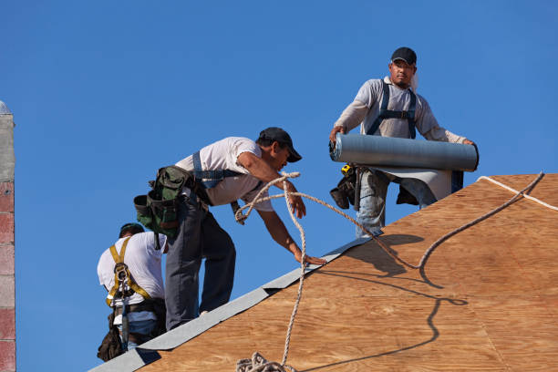 Best Flat Roof Repair Services  in Williamsville, NY